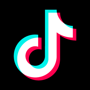 TikTok Logo